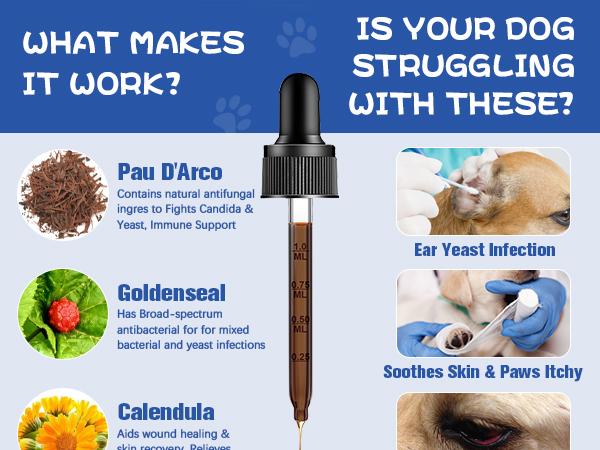 Natural Dog Health Herbal Supplement Drops – Supports Comfort for Yeast-Related Itchy Skin, Ear Discomfort & Paw Itching, Soothes Irritation Linked to Sensitivity