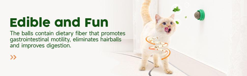 Catnip Toys Balls 4 Pcs, Extra Cat Energy Ball, Edible Kitten Silvervine Toys, Healthy Kitty Teeth Cleaning Dental Chew Toys, Cat Wall Treats Cat Stuf