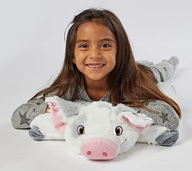 Pillow Pets Plush Character Pal and Pillow