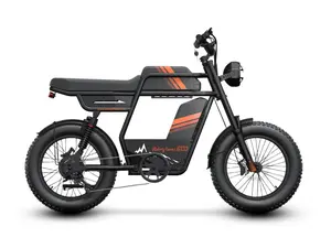 GT33 All-Terrain Cargo Electric Bike 1350W 48V 27Ah Battery 31 MPH 50+ Mile Range Fat Tire E-Bike ridert GT33 Cargo Bike