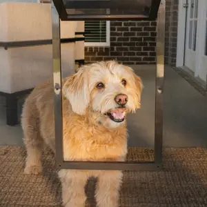 PetSafe P1-ZB-11 Small Pet Screen Door – High-Impact Plastic Frame & Tear-Resistant Mesh, Dual Lock - Fits Pets up to 30 lbs - Easy DIY Installation for Window, Door, or Porch Screen - Easy Pet Outdoor Access