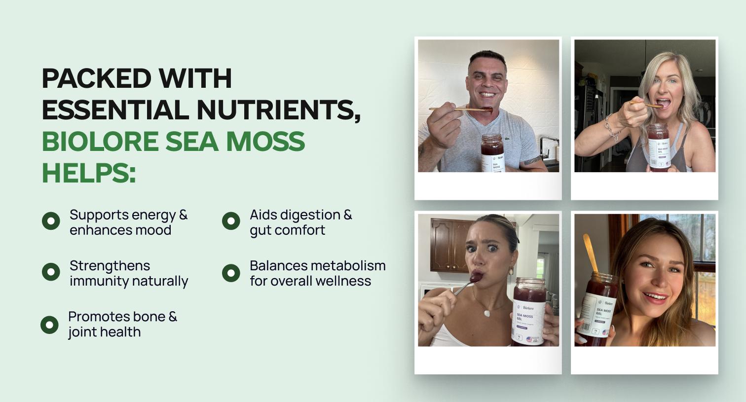 Biolore Sea Moss Elderberry Flavor 8oz Sea Moss Gel - Rich in Minerals, Proteins & Vitamins - Vegan Health Supplement Made in USA Natural Biolore Sea Moss Elderberry Flavor 8oz Sea Moss Gel - Rich in Minerals, Proteins & Vitamins - Vegan Health Supplement Made in USA Natural