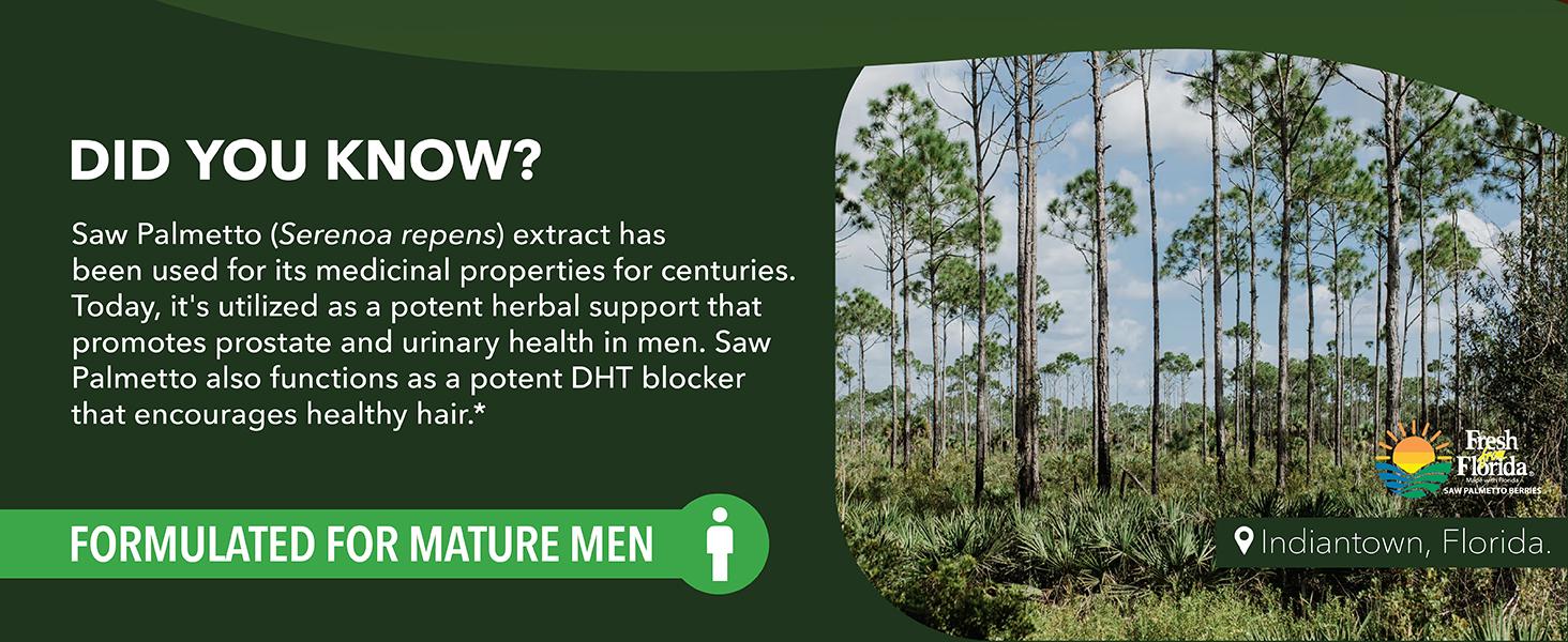 Saw Palmetto 100 Capsules - Natural Prostate Support Supplement for Men - Potent Saw Palmetto for DHT, Urinary and Prostate Health - 3 Month Supply