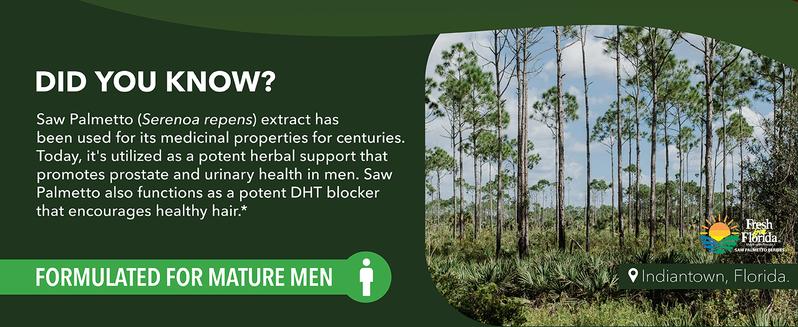 Saw Palmetto 100 Capsules - Natural Prostate Support Supplement for Men - Potent Saw Palmetto for DHT, Urinary and Prostate Health - 3 Month Supply