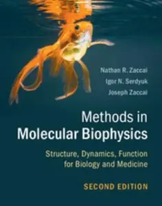 USED-Methods in Molecular Biophysics: Structure, Dynamics, Function for Biology and Medicine by Zaccai, Nathan R. (Hardcover)