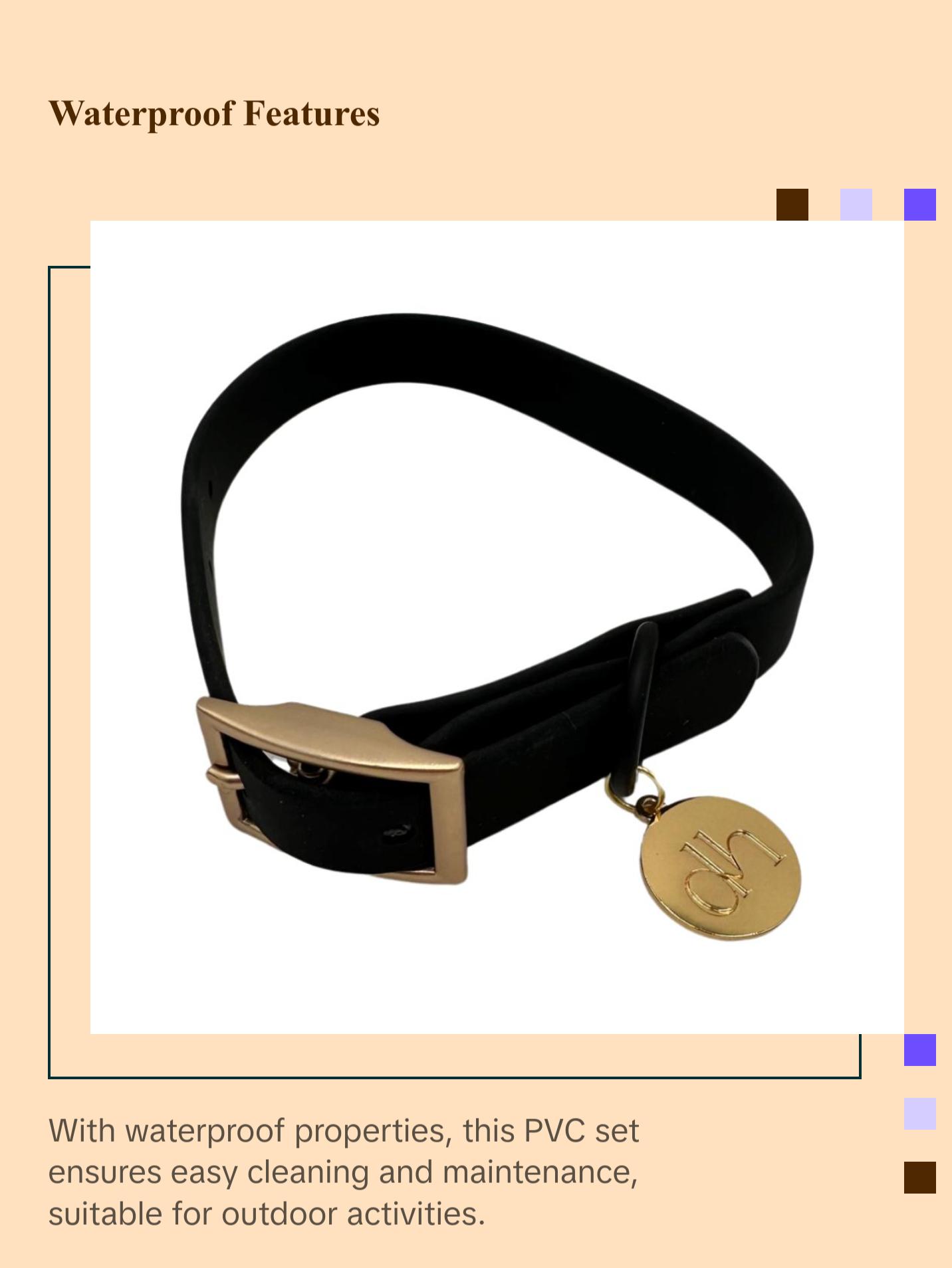 dh Designer PVC Collar & Leash Sets - Stylish Pet Accessories