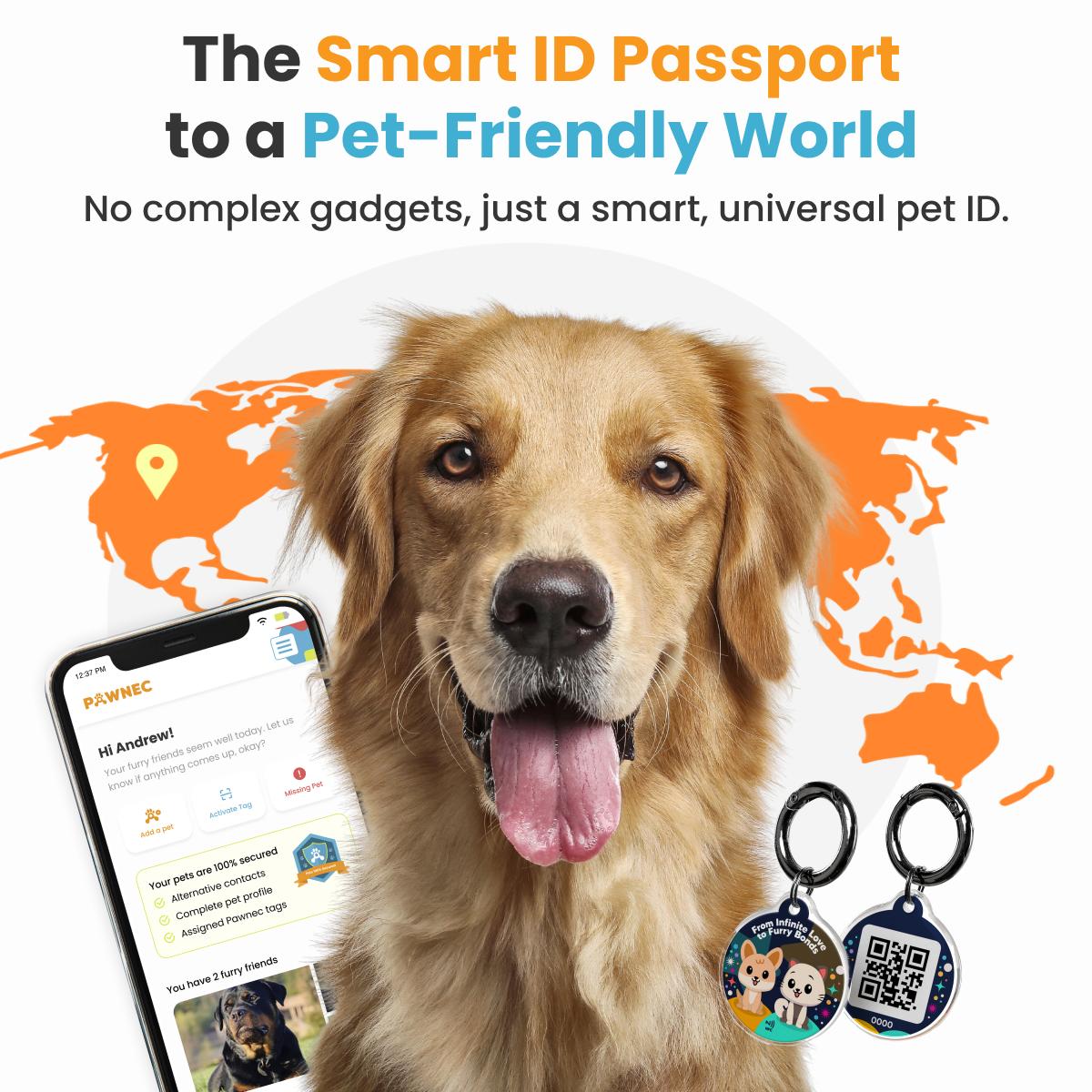 NeoCollar 'Pet Paradise' - 2-in-1 dog collar with ID tag - personalized with name - customized collar for pets