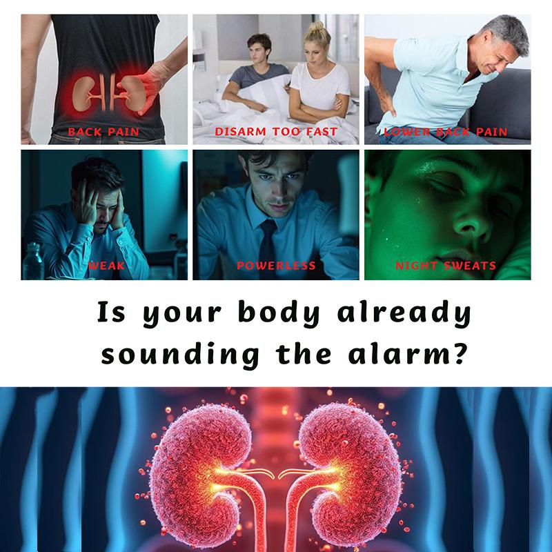 Kidney Tea Formula – Ginseng Eight Treasures Tea, Organic Kidney Cleanse & Detox Tea, Traditional Herbal Healthy Kidney Cleansing Tea for Men & Women, Natural Wellness Tea (20 Bags)