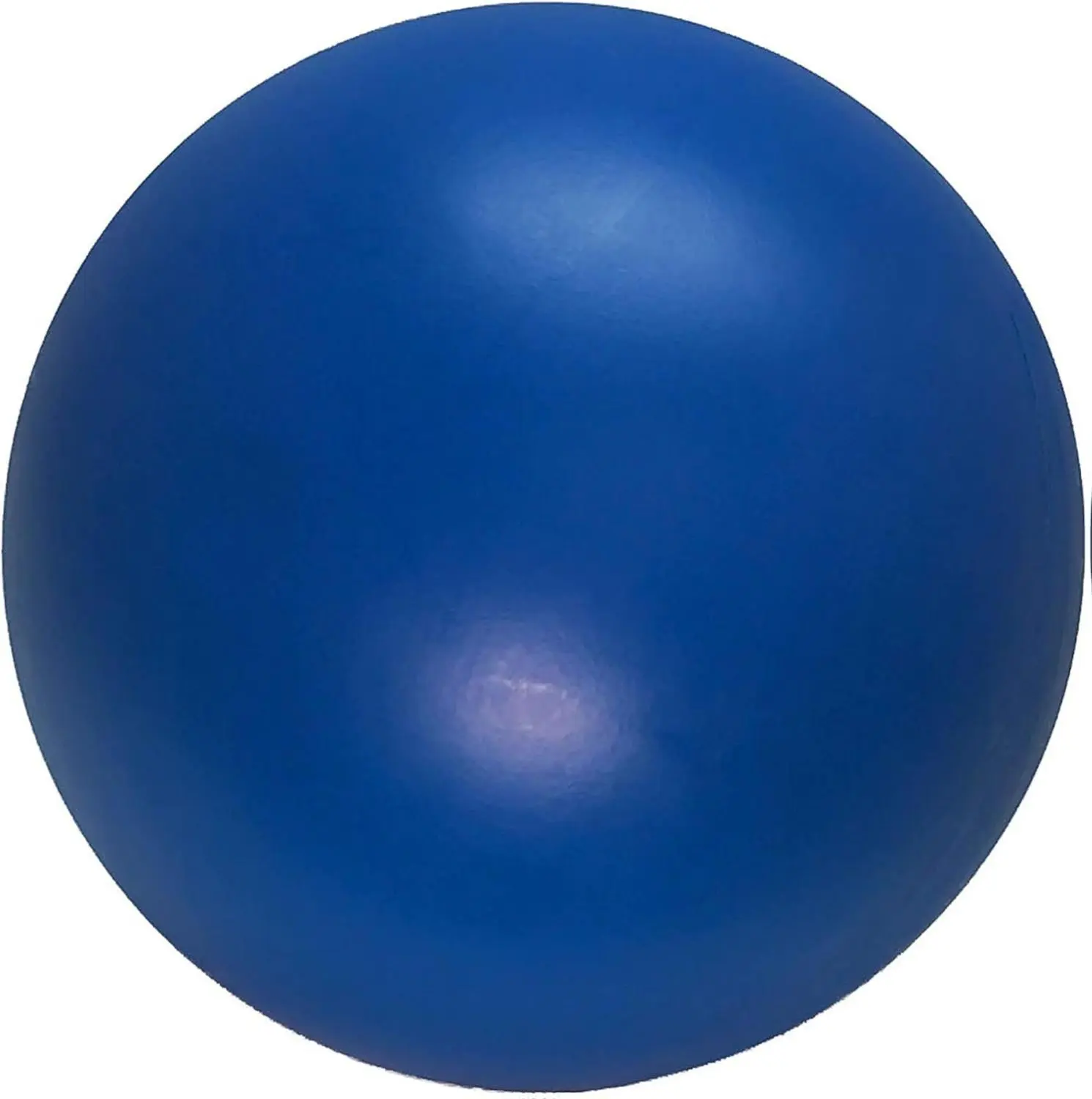 Virtually Indestructible Best Ball for Dogs, 10-inch