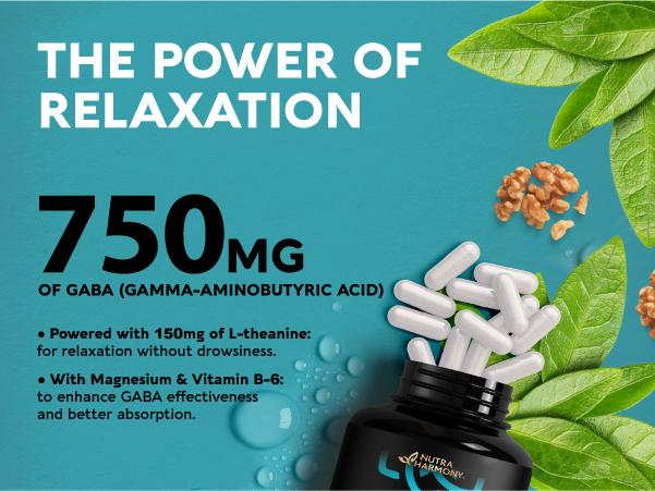 GABA Supplements for Natural Calm | Sleep | Relaxation | Stress Relief Support - L-Theanine | Magnesium | Vitamin B6 - Made in USA - 750 mg Gamma AminoButyric Acid - 120 Natural Vegan Capsules vitamin supplements