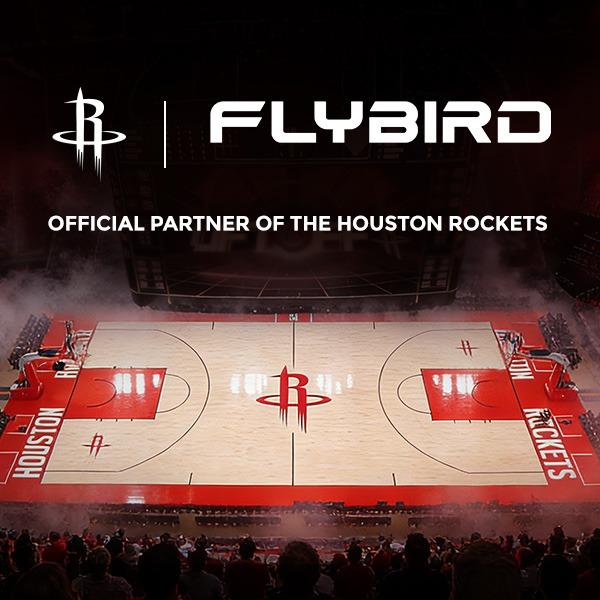 FLYBIRD Chest & Arm Twister with Flex Core Trainer - 15-Level Hydraulic Power Chest Press Machine (22-440lb) for Upper Body, Portable Resistance Home Fitness Equipment Outdoorfun #Christmasgift