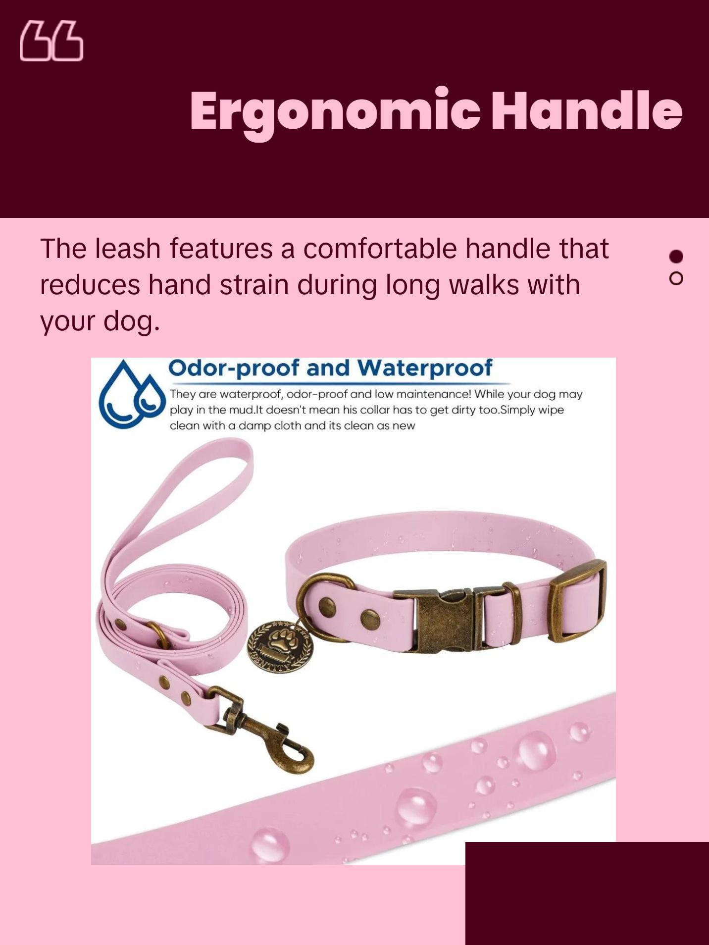 Dog Collar and Leash Set Combination Adjustable Durable Pet Collar with Dog Leash