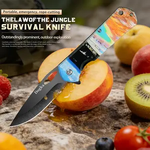 A kitchen knife set that includes a small utility knife and an exquisite fruit/bread knife
