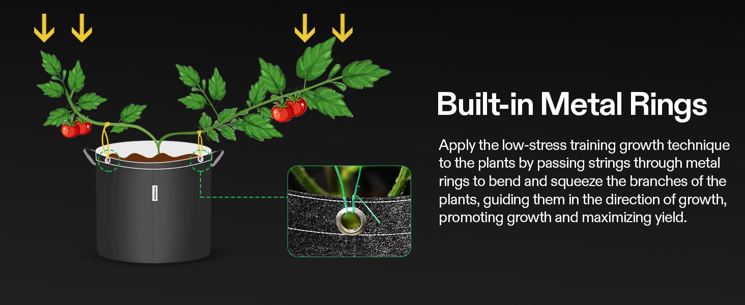 VIVOSUN 5-Pack Grow Bags, 500G Thick Nonwoven Fabric Pots with Strap Handles, Multi-Purpose Rings, for Low Stress Plant Training Fruits, Vegetables, and Flowers