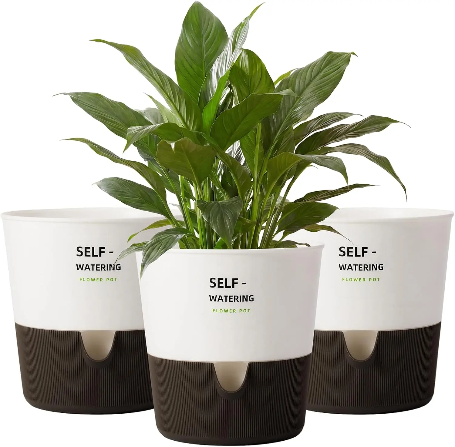 Bamworld 2-Pack Self-Watering Garden Pots (16.5cm) with Water Reservoir, Drainage Holes, Durable Materials, Plant Decor for Container Gardening, Both Indoors/Outdoors Travel-Ready Care