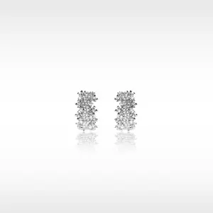 Galaxy in Sight Earrings