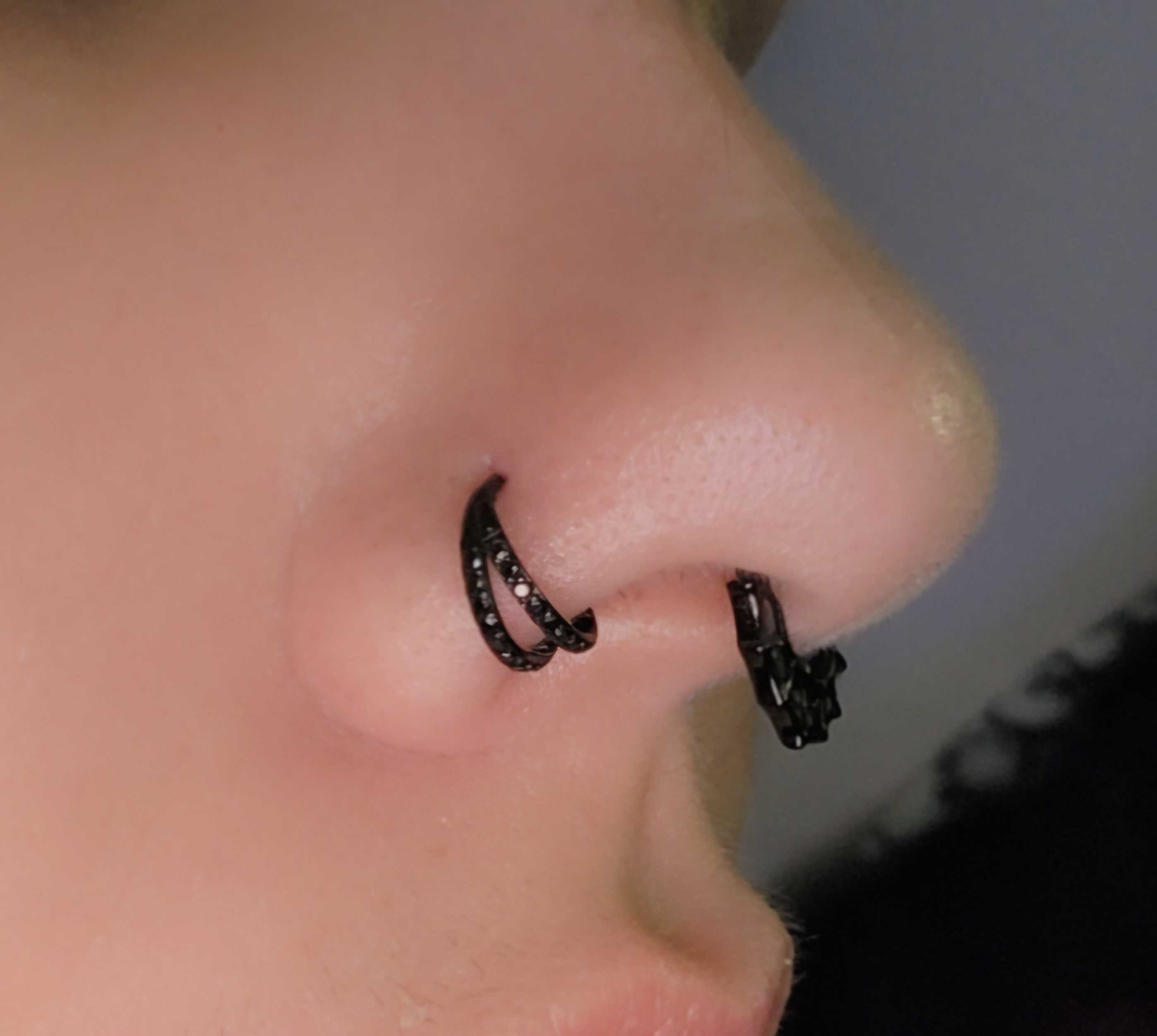 Oufer 20G AAA+ Grade CZ Hinged Double Row Nostril Piercing Nose Ear Hoop Ring 316L Stainless Steel 5mm-12mm Inner Diameter Cubic Zirconia Jewelry Oufer 20G AAA+ Grade CZ Hinged Double Row Nostril Piercing Nose Ear Hoop Ring 316L Stainless Steel 5mm-12mm Inner Diameter Cubic Zirconia Jewelry