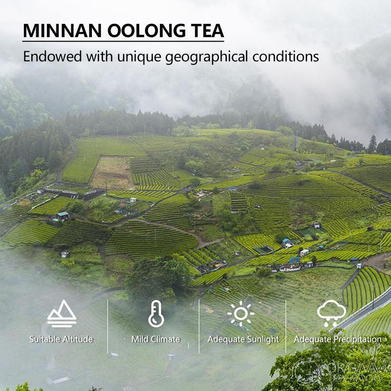 Wloss Tea BOGO Oolong Tea With Coffee 2 Cartons (1Carton 70g 5g × 14 pack)x2 With Free Forest Thermos Rich Complex Flavor Profile Premium Ingredients