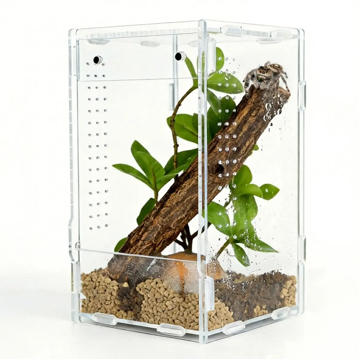 5x5x8 Reptile Tank – Acrylic Reptile Enclosure Terrarium for Cre sted Gecko, Lizards, Spiders & Snakes – Clear Lizard Habitat Terrarium