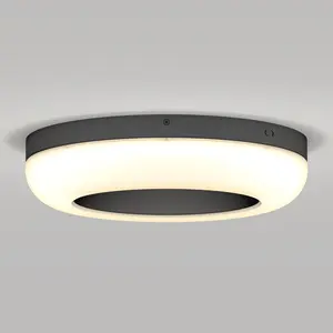 Louka 15 in. modern LED flush mount light 5 CCT Louka 15 in. modern LED flush mount light 5 CCT