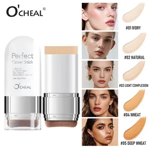 Dual-Ended 2-In-1 Foundation Concealer Stick with Brush, Long-Lasting Waterproof Full Coverage Matte Makeup, 5 -Color  Moisturizing Eraser Concealer Highlighter for Acne Marks & Nose Contour