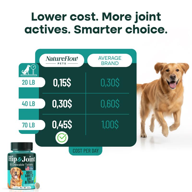 Natureflow Hip & Joint Supplement for Dogs Green-Lipped Mussel Glucosamine Mobility Support Zero Sugar Chewable Tablets MSM Chondroitin Ginger Devil’s Claw Made in USA
