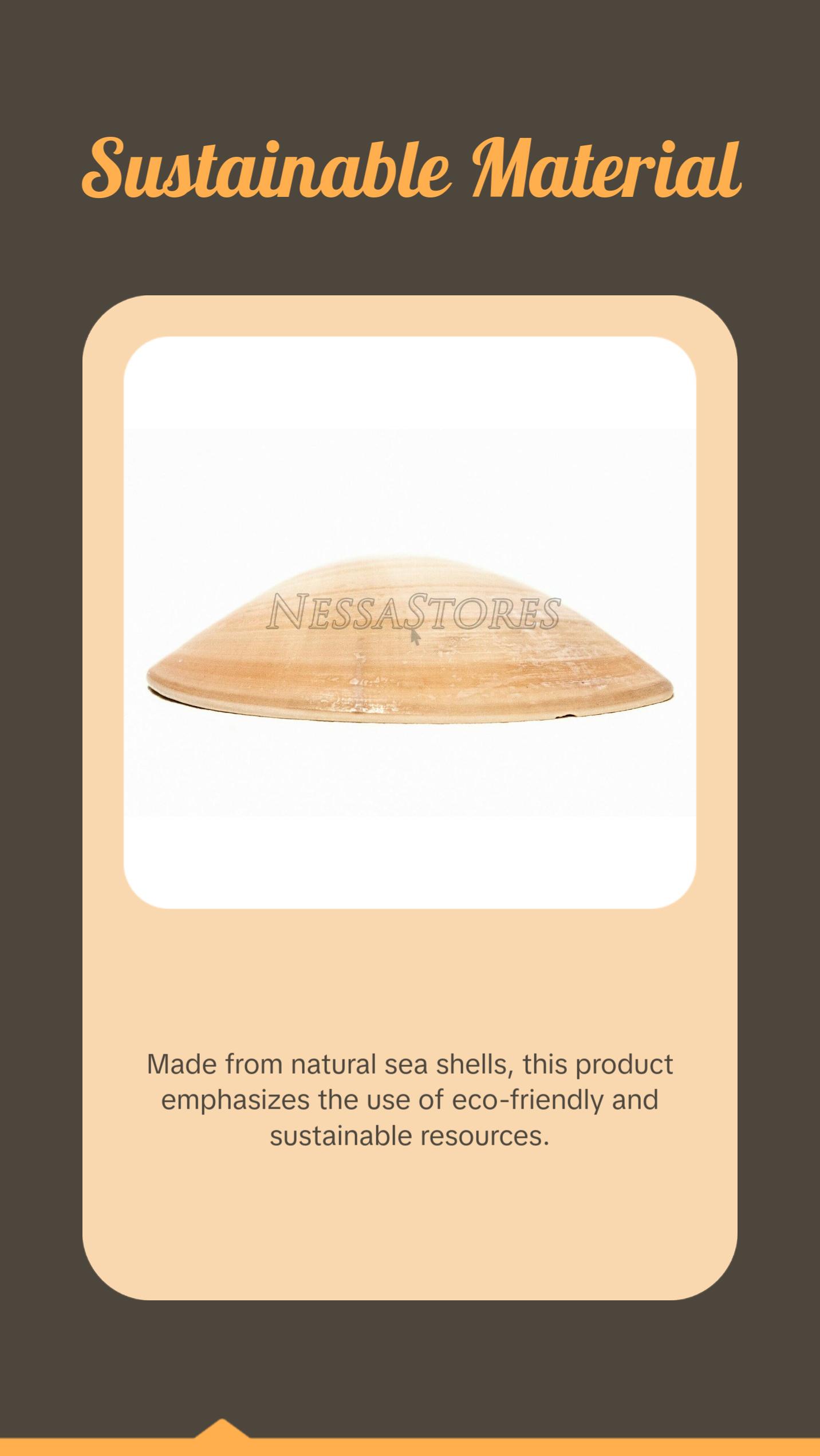 Brown Clam Sea Shell Beach Craft Scallop 3" - 4" (8 PCS ) #JC-76