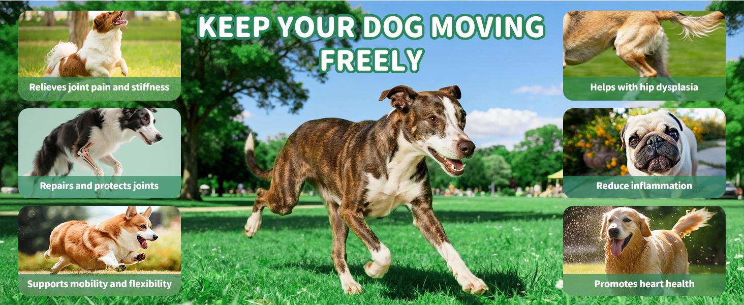 Petrivium Allergy & Itch for Dogs,Dental cleaning powder,32-in-1 Mutivitamin,Probiotic Chews,Turkey tail mushroon, powder,Hip&Joint chews,Natural drops for dog