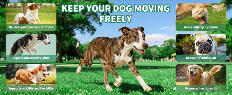 Petrivium Allergy & Itch for Dogs,Dental cleaning powder,32-in-1 Mutivitamin,Probiotic Chews,Turkey tail mushroon, powder,Hip&Joint chews,Natural drops for dog