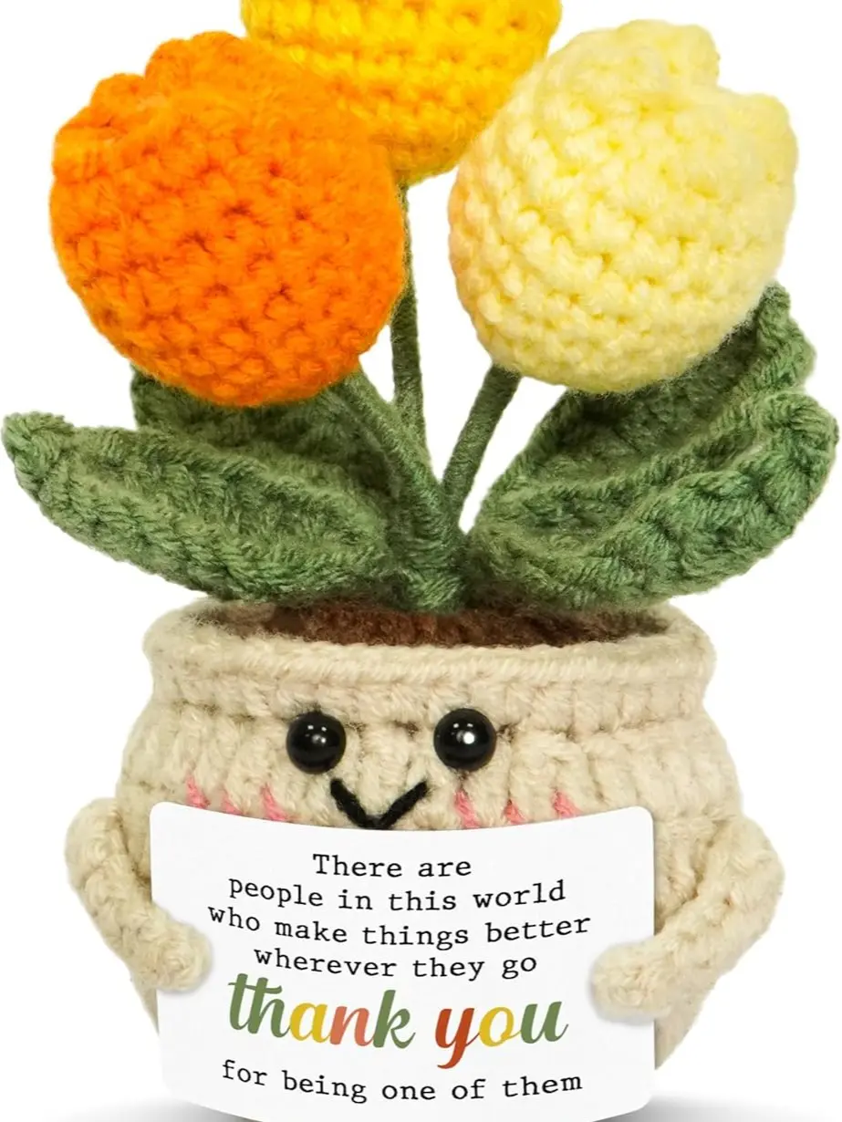 Miniature Tulip Crochet Hanging Decor Gift Set - Home Decor Supplies with Flower Accents, Teacher Classroom Gift, Positive Support for Retirement Thank You Occasions, Emotional