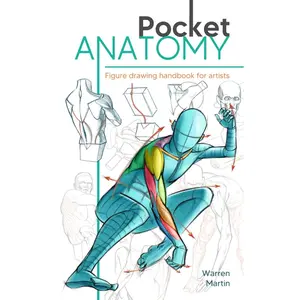 Pocket Anatomy: Figure Drawing Handbook in Color for Artists, Learning How to Draw Human Body by Simplifying the Complex Structures of the Body and Understanding the Human Form Paperback – February 21, 2024