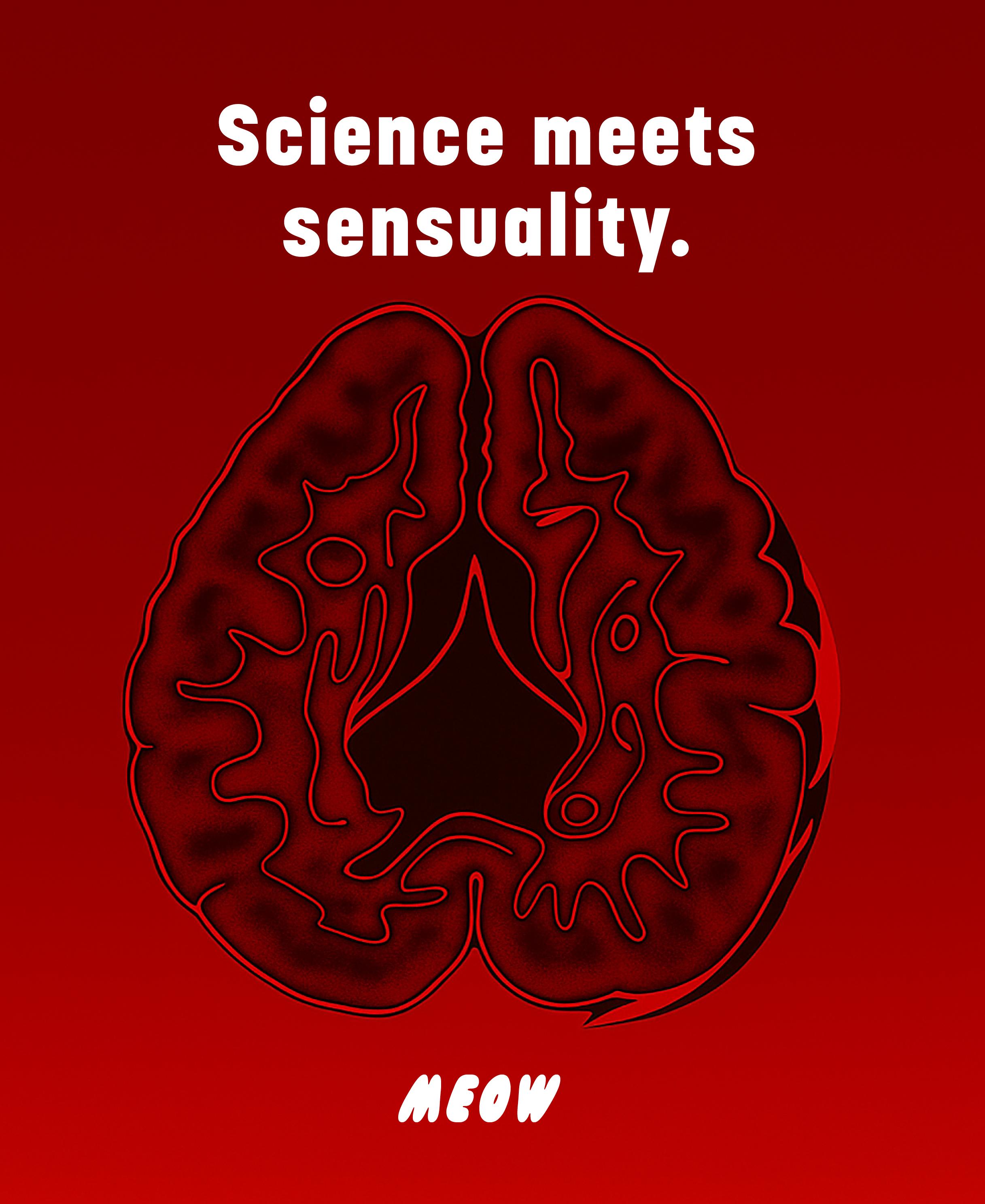 Clooudie Meow Chewing Gum, Cherry Flavor, 30 Gum, Support Confidence & Vitality, Maintain Daily Balance, Support Monthly Comfort, Dietary Supplement, Sugar Free Clooudie Meow Chewing Gum, Cherry Flavor, 30 Gum, Support Confidence & Vitality, Maintain Daily Balance, Support Monthly Comfort, Dietary Supplement, Sugar Free