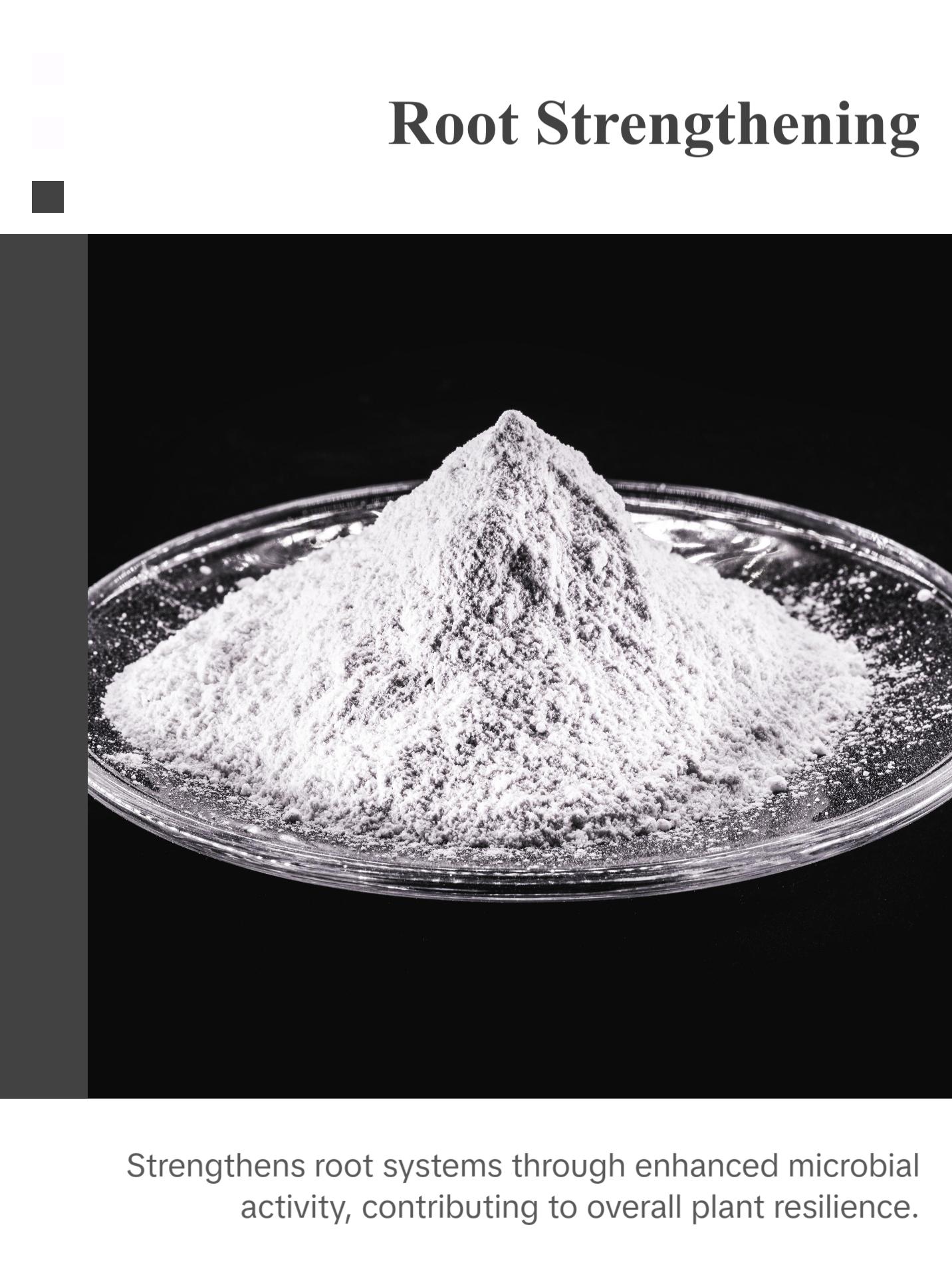 BioPro Solution FertiPro, bacterial supplement to promote healthy plants growth naturally