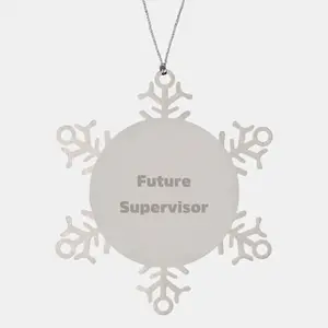 Funny Future Supervisor Gifts, Snowflake Ornament, Unique Christmas Unique Gifts from Men, for Supervisor, Funny Snowflake Ornaments