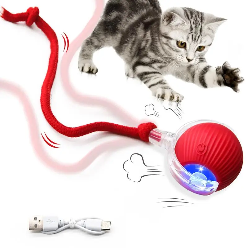 Interactive Dog&Cat Toys 2025 Upgraded Durable USB Rechargeable Automatic Rolling Ball with Obstacle Avoidance Technology for Small Medium Large Pets