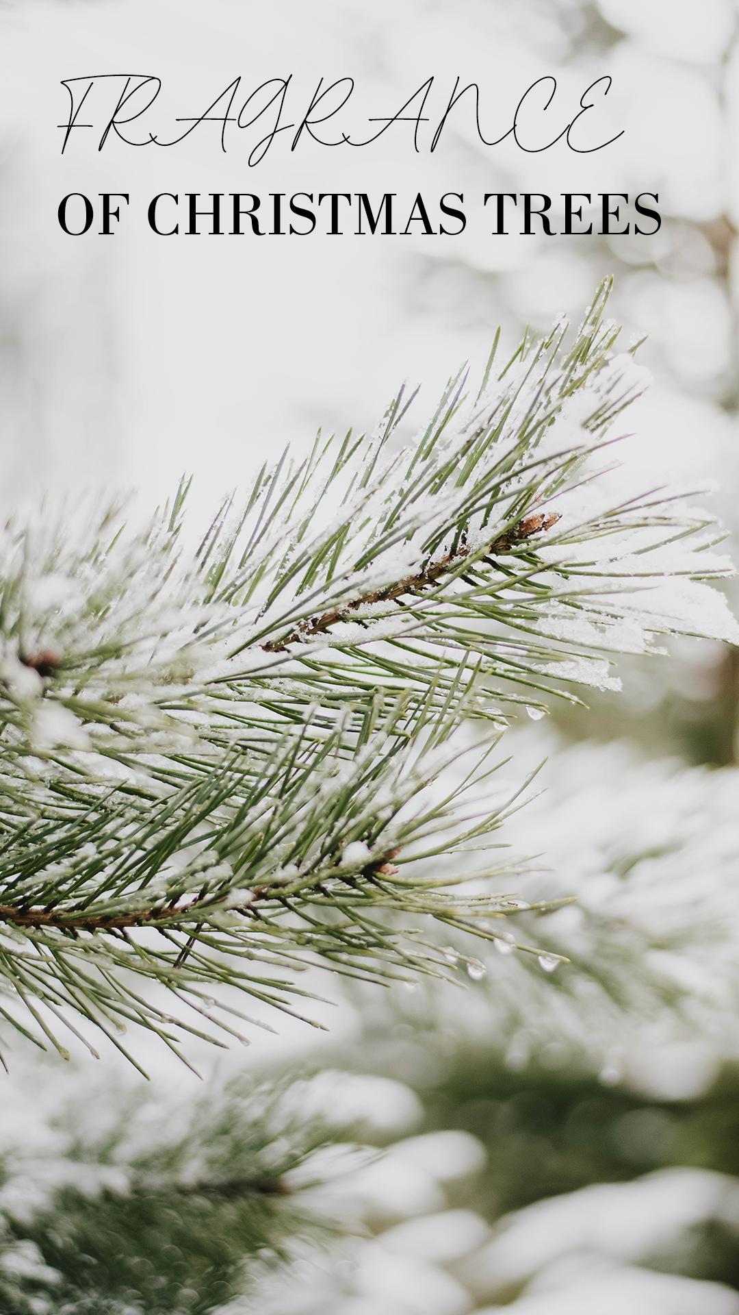 Lopeie Hotel Diffuser Oil for Home Refill 250ml-Citron, Cedarwood & Ambergris Fragrance for Ultrasonic & Waterless Diffusers