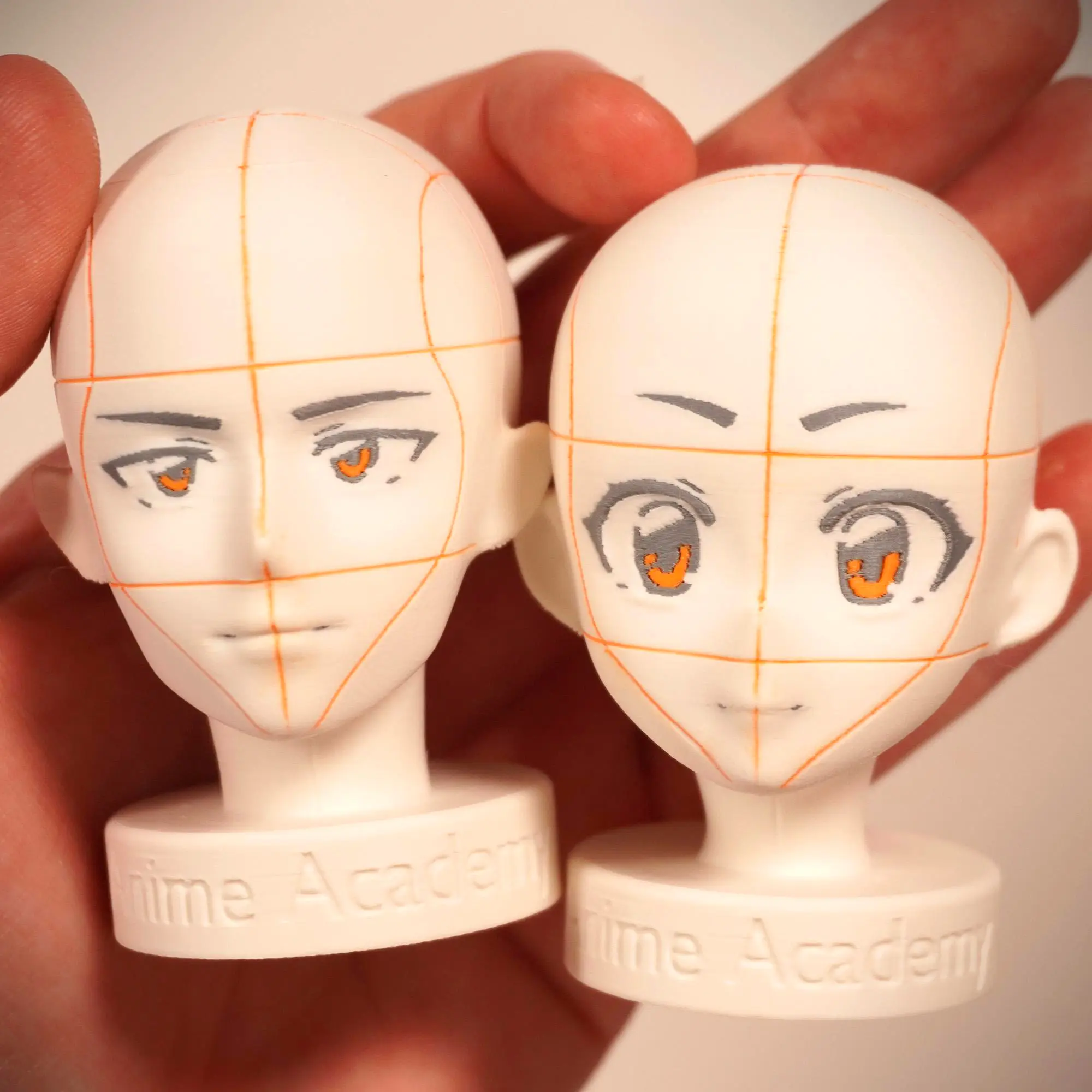Anime Academy - Head Reference Models - Set of 2 Detailed Heads for Artistic Reference Angles and Lighting