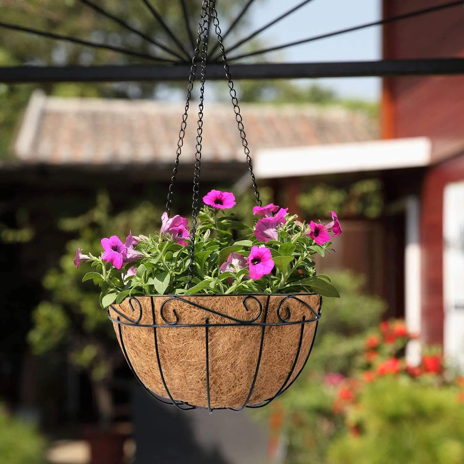 Ashman Metal Hanging Planter Basket with Coco Coir Liner Round Wire Plant  Holder Chain for Garden Decoration Indoor Outdoor, Hanging Baskets (4 Pack)  - TikTok Shop
