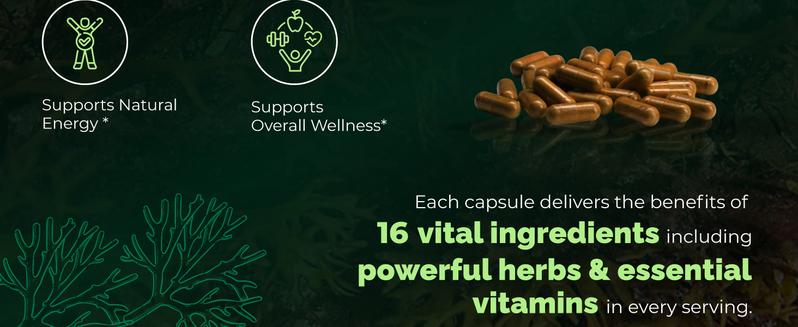 【Sandhus】Sea Moss All in 1 supplement, 60 capsules with Seamoss, Black Seed Oil, Ashwagandha, Ginger, Burdock Root, Turmeric, Black Pepper Healthcare Dietary