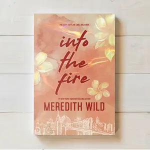 Into the Fire (The Bridge Series #2)