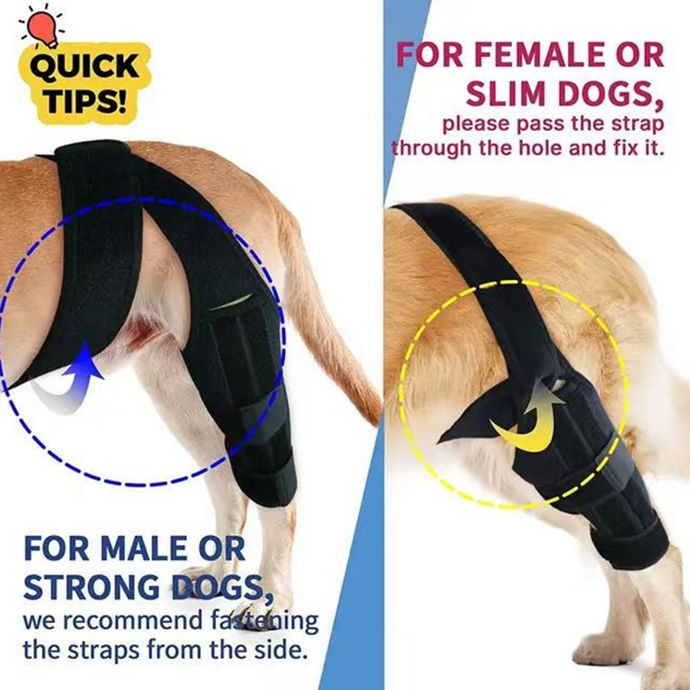 Dog Knee Protector Adjustable Black Dog Back Leg Brace Comfortable Knee Pad For Leg Injury Care Universal Leg Protector For