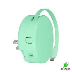 Mint Lightning iphone 14,13,12,11 Clearance $10.00