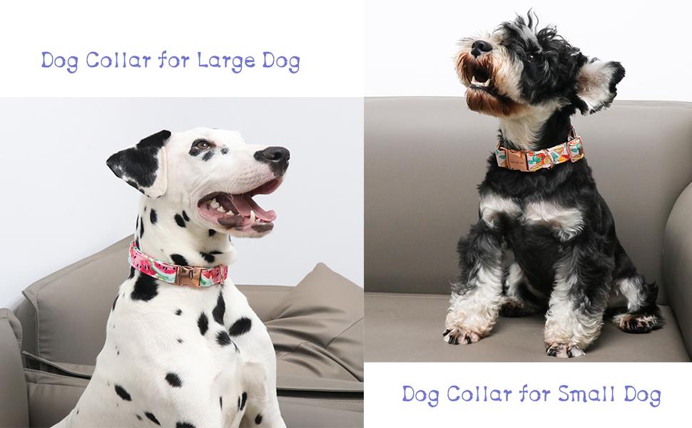 Unique Style Paws Adjustable Dog Collar With Metal Buckle - Durable & Cute Dog Accessories for Small Medium Large Boys Girls Dogs tiktokshopbacktoschool,back to school