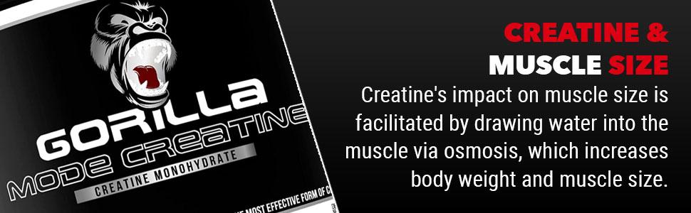 Gorilla Mode 100 Serving Creatine Monohydrate – Micronized Creatine Monohydrate Powder -Strength, Power & Endurance Fitness Supplement for Men & Women - 5 Grams per Serving