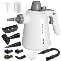 198 Handheld Steam Cleaner