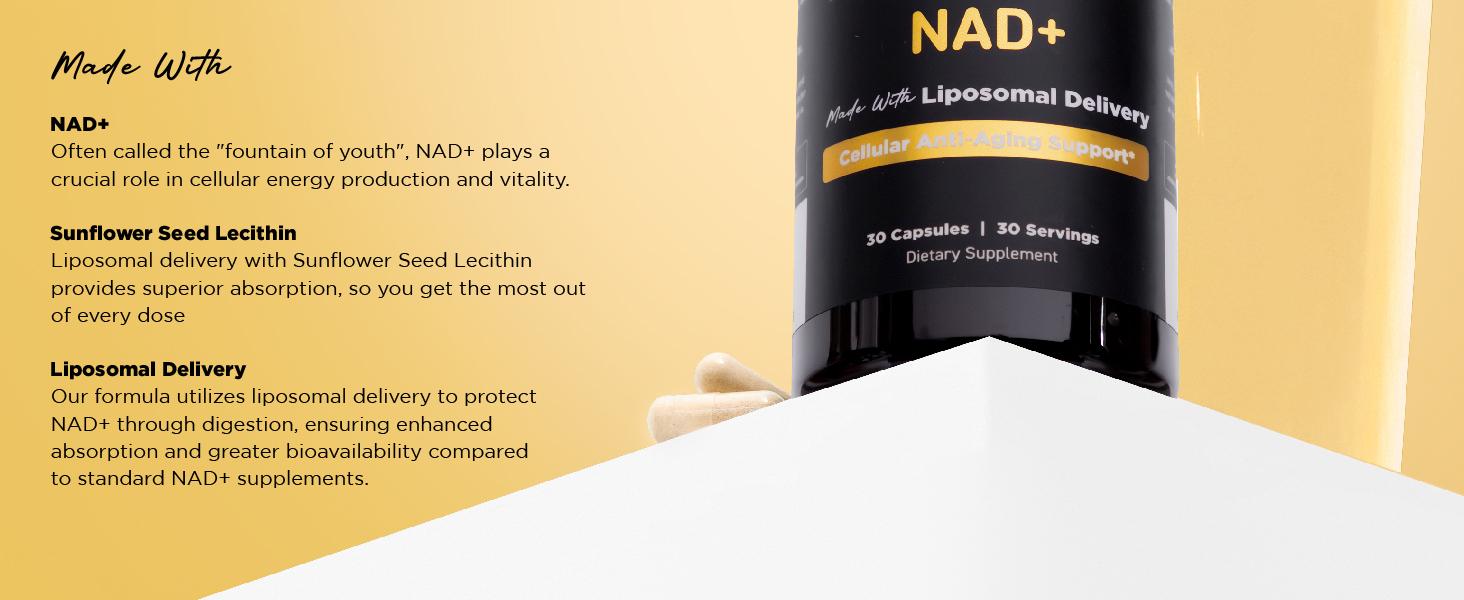 NAD Supplement - NAD+ (Nicotinamide Adenine Dinucleotide) for Men & Women - Made with Liposomal Delivery - Cellular Anti-Aging Support, Energy, Focus - 30-Day Supply
