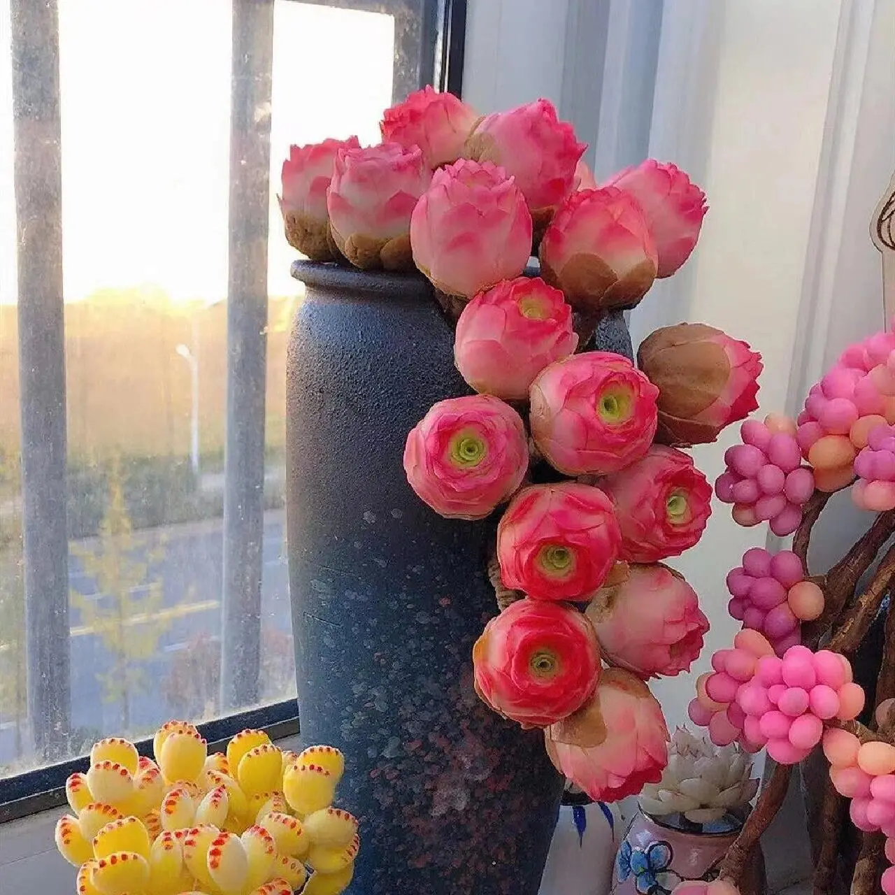 500Pcs Mountain Rose Succulent Seeds – Rare Echeveria Variety for Stunning Rock Gardens & Pots