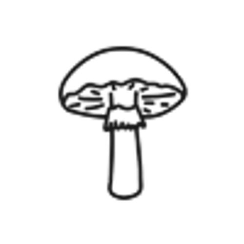 Disappearing Act Serum