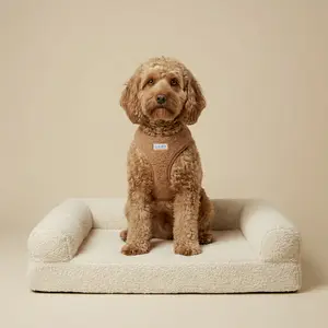 Chestnut Charm- Adjustable Harness