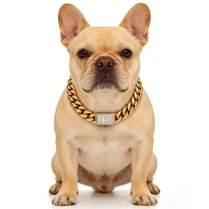 【G1】18K Gold Cuban Link Dog Collar with A–Z Zircon Letter, 14MM Heavy Duty Chew-Proof Stainless Steel Chain Collar for Small Medium Large Dogs Personalized dog accessories dog collars